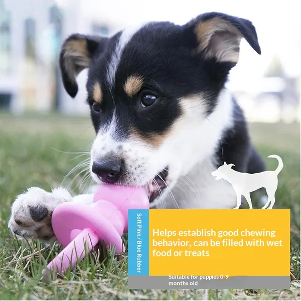 Teething Chew Toy for Small & Medium Dogs