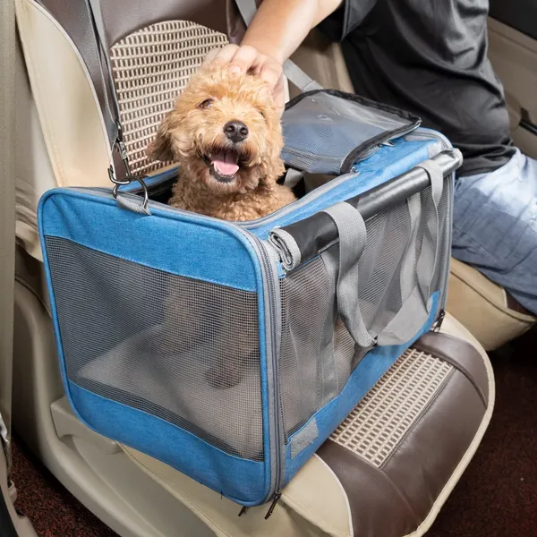 Soft-Sided Cat Carrier (Large)