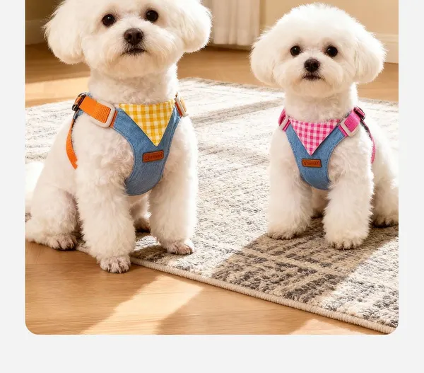 Step-In Puppy Harness & Leash Set