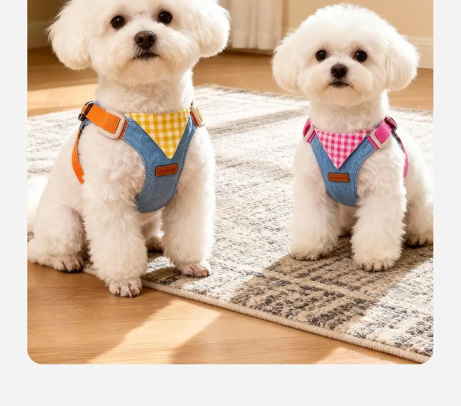 Step-In Puppy Harness & Leash Set