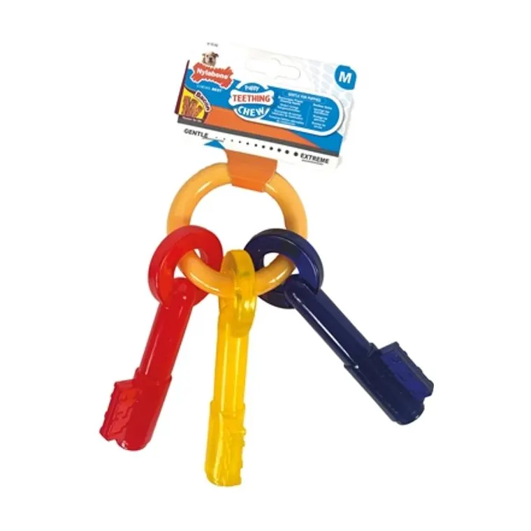 Nylabone Pup Key Bacon, <16 kg