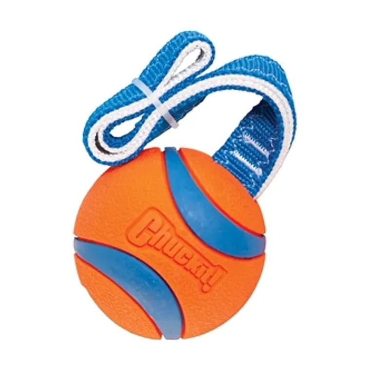 Chuckit Ultra Tug, 27 x 7 x 7 cm