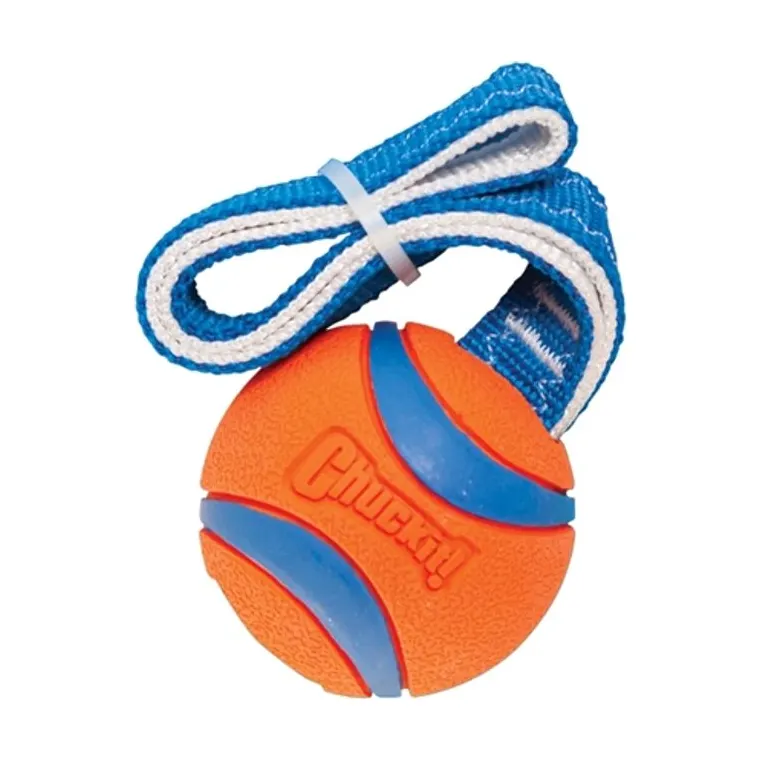Chuckit Ultra Tug, 26 x 6 x 6 cm
