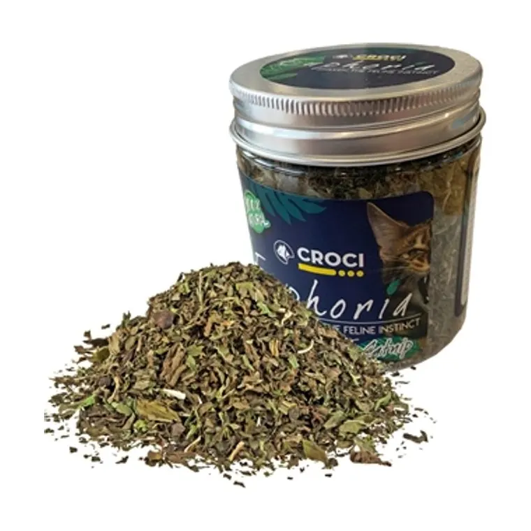 Croci Euphoria Catnip Pot, 25 g