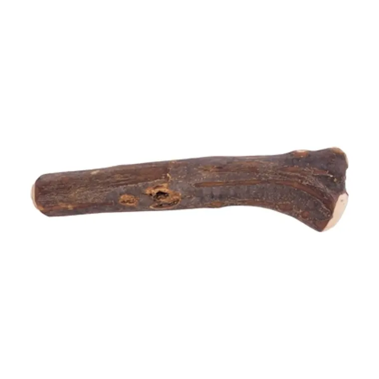 Dog Woodzzz olijfhout, L