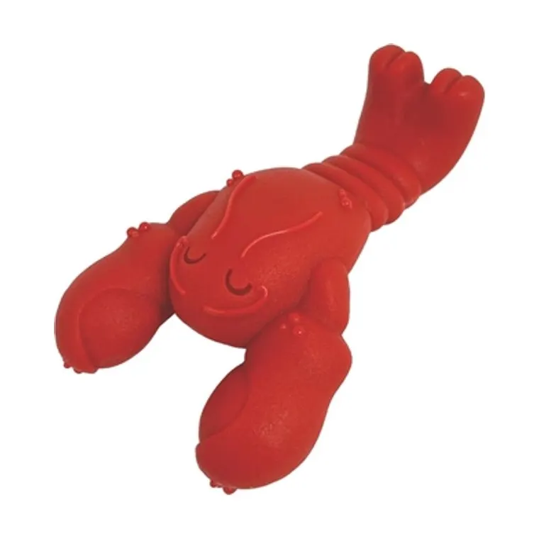 Nylabone Extreme Chew kreeft filet mignonsmaak, S tot 11 kg