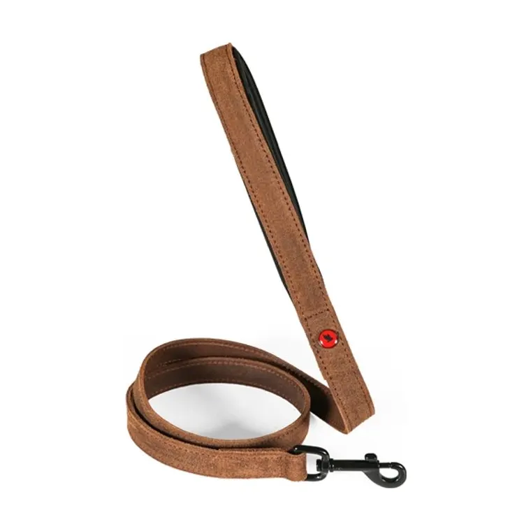 Zolux Expert hondenriem Premium leer/neopreen, bruin, 100 x 2 cm