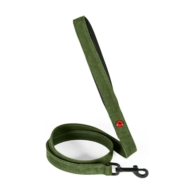 Zolux Expert hondenriem Premium leer/neopreen, groen, 100 x 1,5 cm
