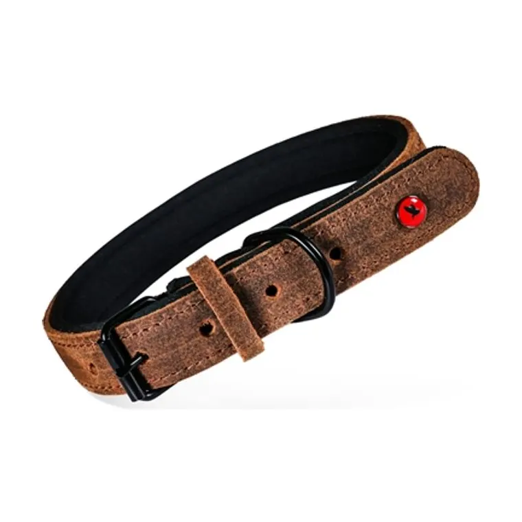 Zolux Collar Premium leather brown, 30 × 1.4 cm