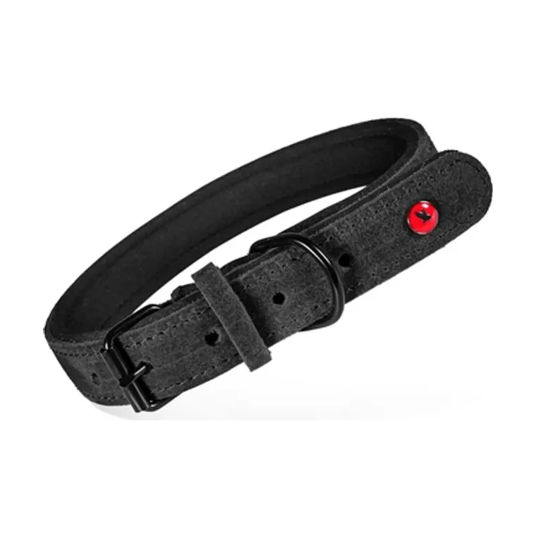 Zolux Collar Premium leather Black, 30 × 1.4 cm