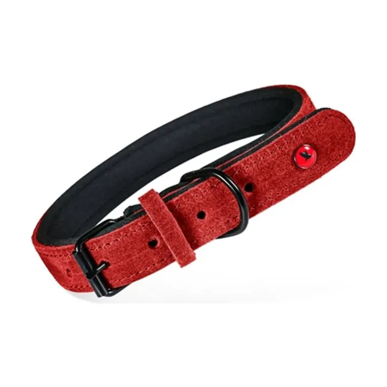 Zolux Collar Premium leather red, 40 × 1.6 cm