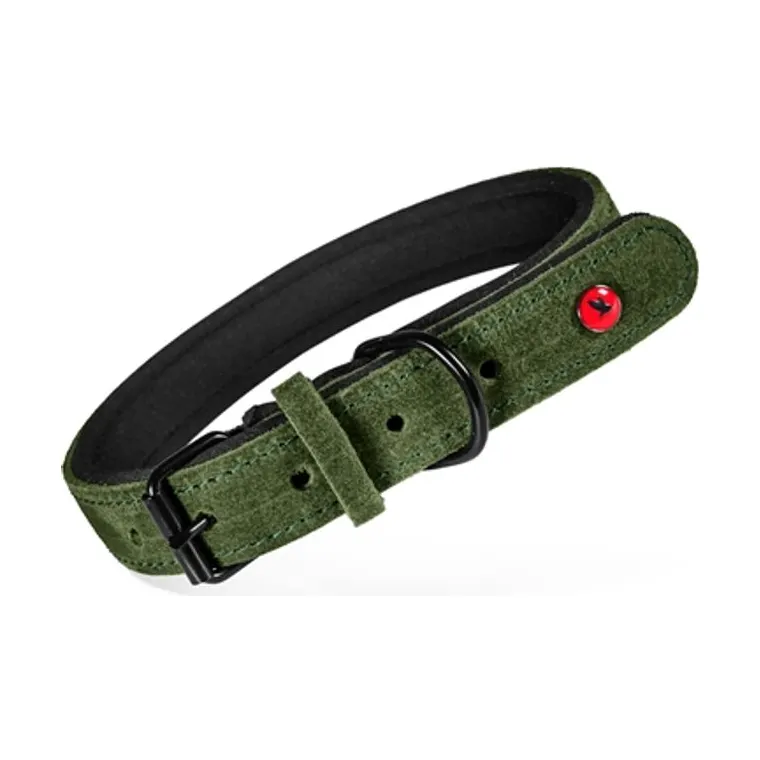 Zolux Collar Premium leather green, 40 × 1.6 cm
