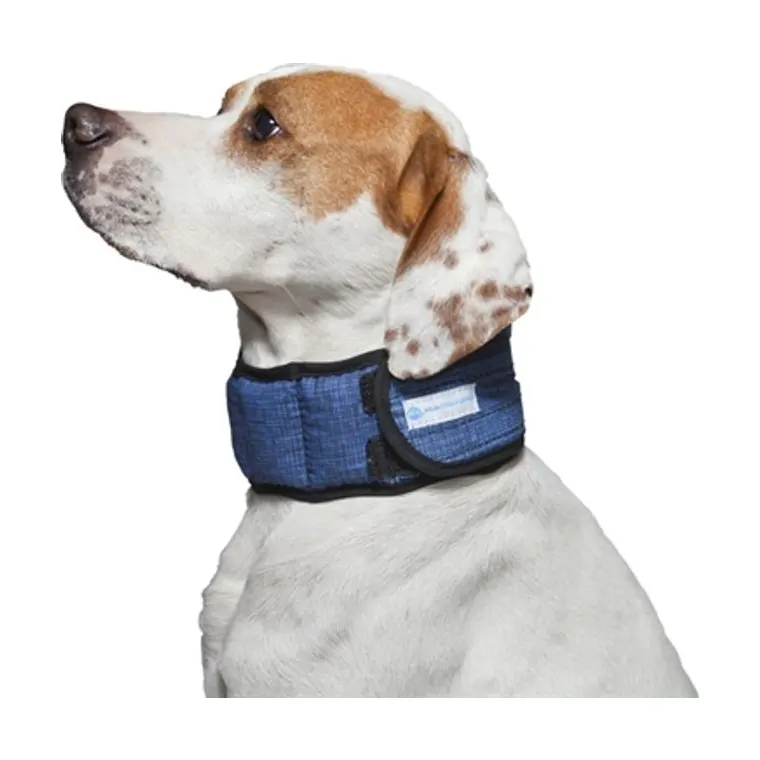 Aqua Coolkeeper Zzz- Collar Coolk Pacific Blue Xxl, 54–6
